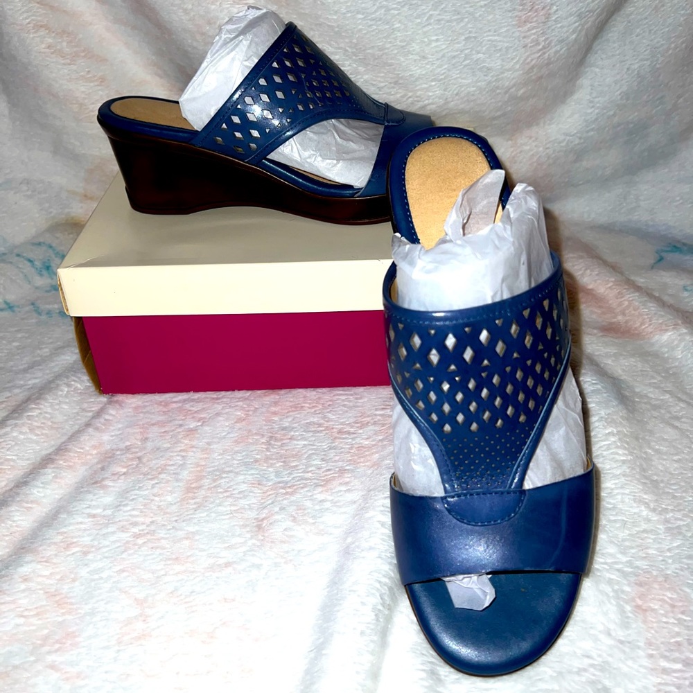 Brand New Naturalizer Viola Blue Slides